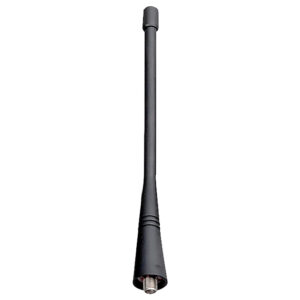 AN0460W19