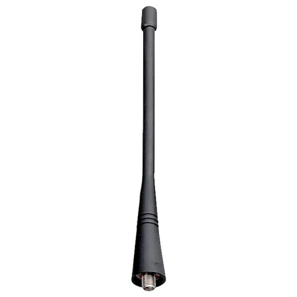 AN0460W19